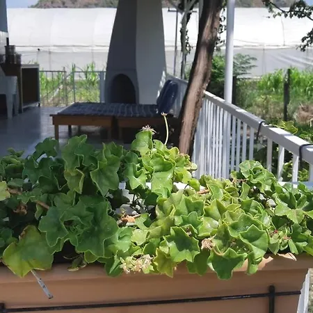 Casa vacanze Mustakil Bahceli Ev, 5 Min To Airport